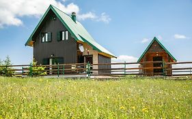 Guest house Holiday